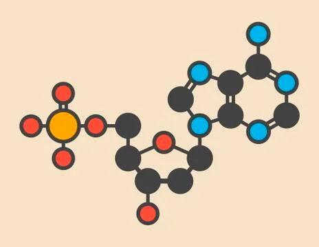 Deoxyadenosine molecule Stock Illustration