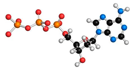 Deoxyadenosine triphosphate molecule Stock Illustration
