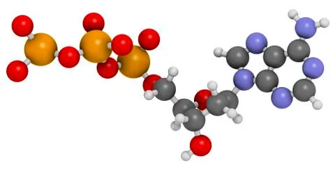 Deoxyadenosine triphosphate molecule Stock Illustration