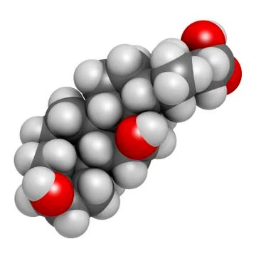 Deoxycholic acid bile acid molecule Stock Illustration