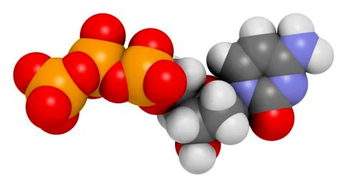 Deoxycytidine triphosphate molecule Stock Illustration