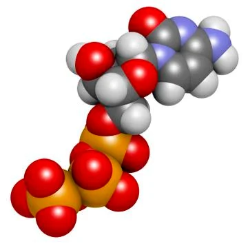 Deoxycytidine triphosphate molecule Stock Illustration
