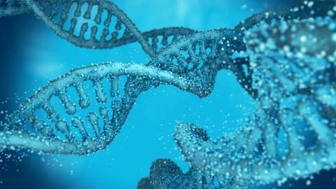 Deoxyribonucleic acid (DNA) chains Stock Illustration