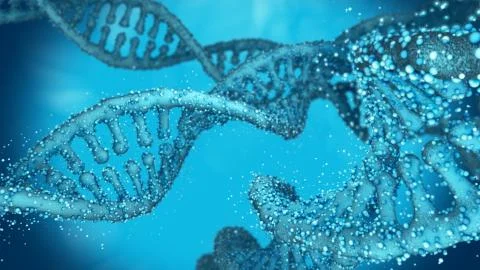 Deoxyribonucleic acid (DNA) chains Stock Illustration