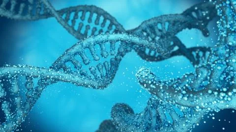Deoxyribonucleic acid (DNA) chains Stock Illustration