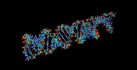Deoxyribonucleic acid - DNA- molecular structure isolated on black Stock Illustration