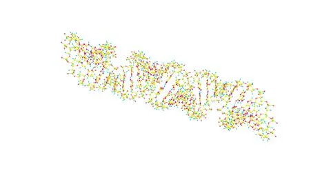 Deoxyribonucleic acid - DNA- molecular structure isolated on white Stock Illustration