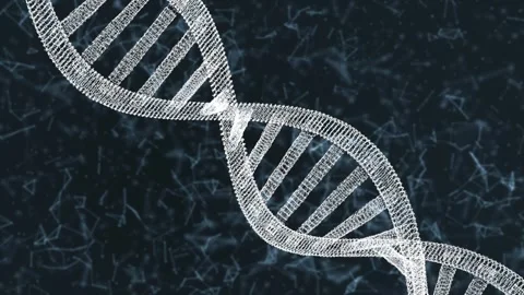 Deoxyribonucleic acid. DNA Plexus Particle 3D Animation. DNA Strand. 4K Stock Footage 273588772