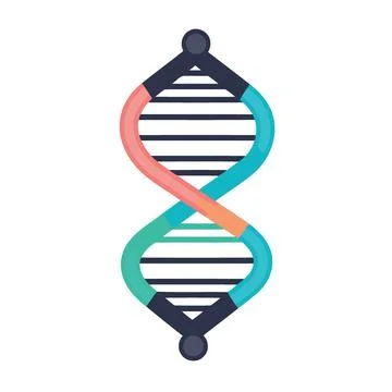 Deoxyribonucleic acid double helix Stock Illustration