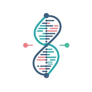 Deoxyribonucleic acid double helix Stock Illustration