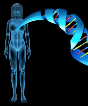 Deoxyribonucleic acid Stock Illustration