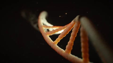 Deoxyribonucleic acid is the molecule Stock Footage 265982786