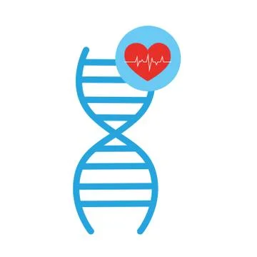 Deoxyribonucleic acid structure and heart Stock Illustration