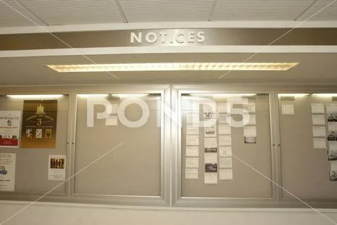 Photograph: Department facilities views, for Web use: Bulletin boards ...