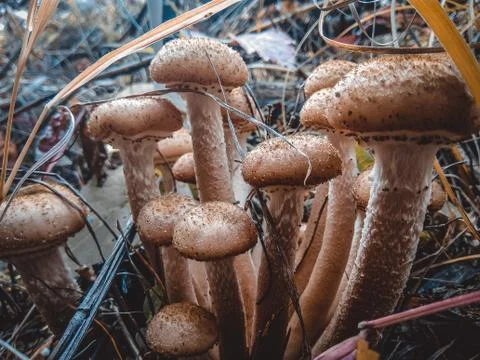 Departure Stock Photos