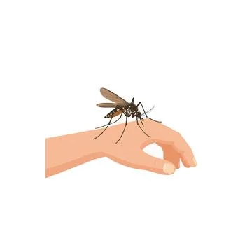 Depiction of a mosquito biting a hand representing public health vector dis.. Stock Illustration