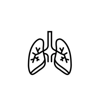 Depicts a pair of human lungs with a trachea high-quality professional Ilustração Stock