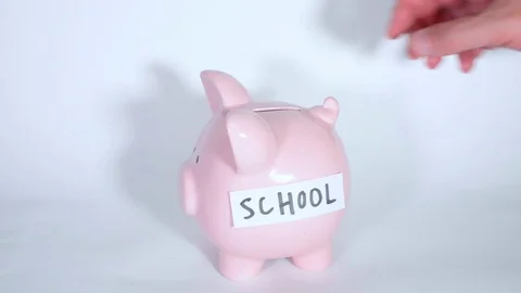 Depositing American notes for school fund Stock Footage 82739423