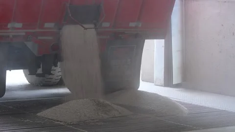 Depositing Dry Beans through Grate (Closeup) 動画素材 172208000