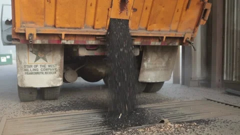 Depositing Dry Beans through Grate (Closeup) 動画素材 172213077