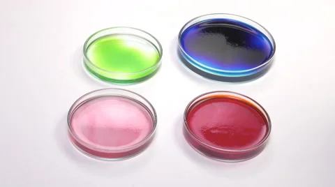 Depositing white liquid droplets using a pipette in a petri dish Video stock 64291158