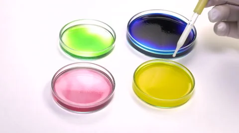 Depositing white liquid droplets using a pipette in a petri dish Stock-Footage 64292743