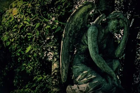 A depressed angel under trees Stock Photos