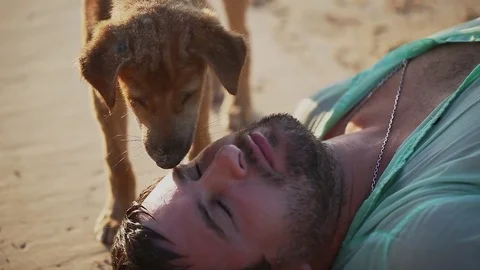 Depressed lost man lying on the beach and dog licking his face. Desert island. Stock Footage 80446921