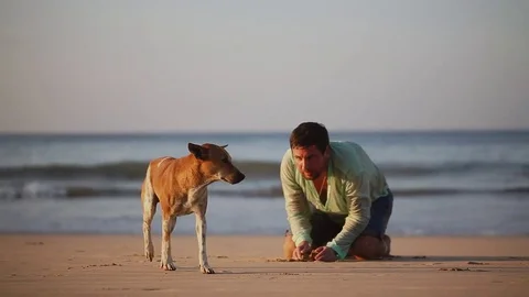 Depressed lost man sitting on a beach with dog. Drama concept. Desert island. Stock Footage 80423459