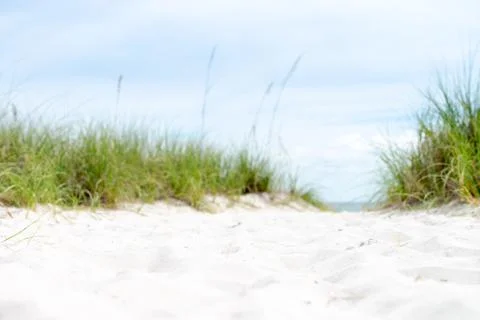 Depth of field on white sandy beach Stock Photos
