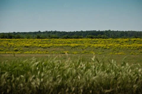 Depth of hills Foto stock