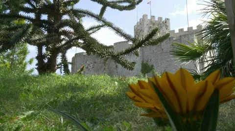 Depths of field change from Duino castle to beautiful yellow flower Vídeo Stock 68346773