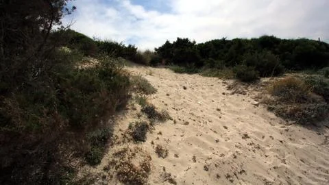 Der Weg Stock Photos