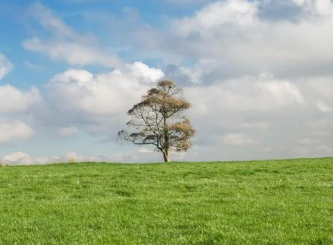 Derbyshire Stock Photos