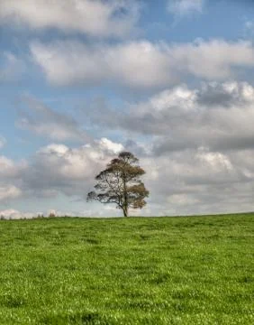 Derbyshire Stock Photos