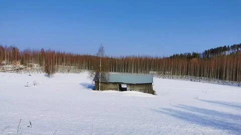 Derelict Barn in winter. Stock Photos