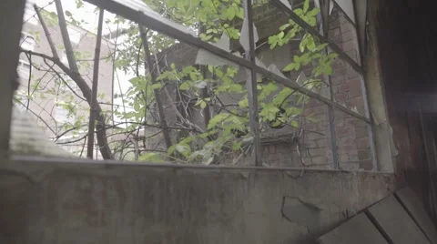 Derelict Building Smashed Window Stock Footage 68908055