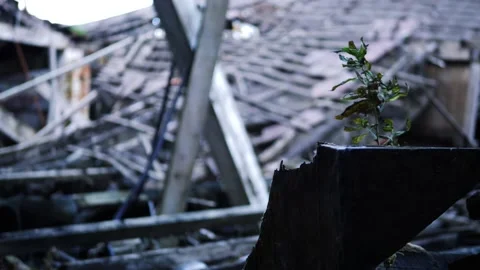 Derelict collapsed building after fire Video stock 171593663