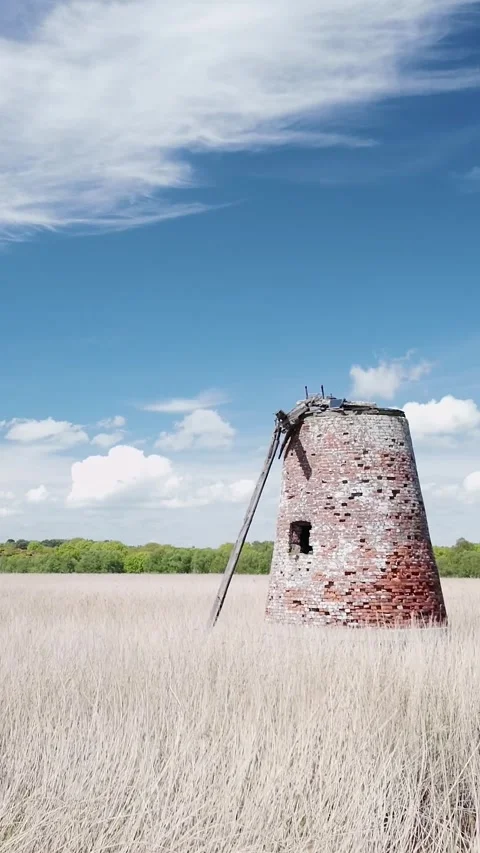 Derelict pump windmill in tall grassy wetland marshes VERTICAL shot Vídeos de archivo 309853726