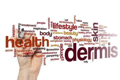 Dermis Stock Illustration
