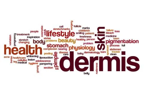 Dermis word cloud Stock Illustration