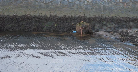 Derry waterfront Stock Footage 58838681