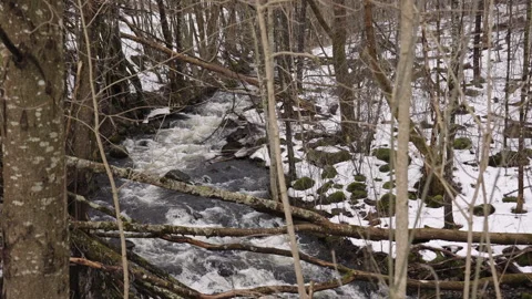 Desaturated River View with Stacked Fallen Logs – 120fps Vídeo Stock 309460319