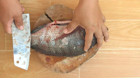 Descaling fish by knife Stock Footage 34681833