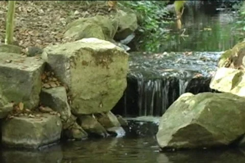 Descanso-Gardens 库存影片 125045