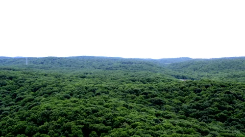 Descend from a large forest view Stock Footage 134296742