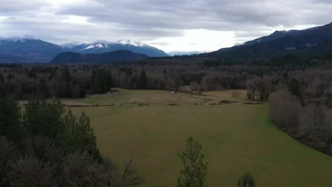 Descend into the Trees 4k 30fps 库存影片 144734837