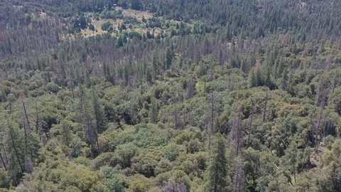 Descending Aerial Drone Shot of a Sparse Houses in a California Mountain Valley Stock Footage 112237563