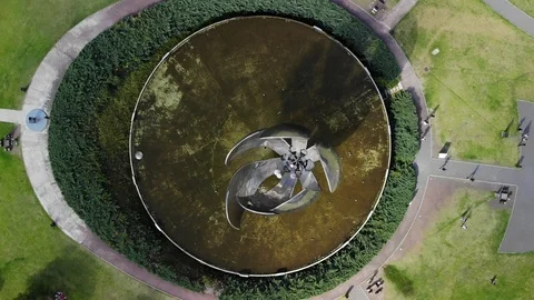 Descending aerial top down shot of flora... | Stock Video | Pond5