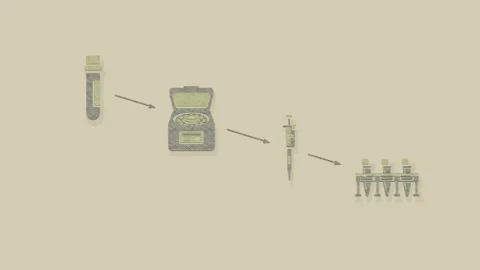 Descending Aliquot Workflow from Centrifugation to Retained Specimens Stock Footage 345500308